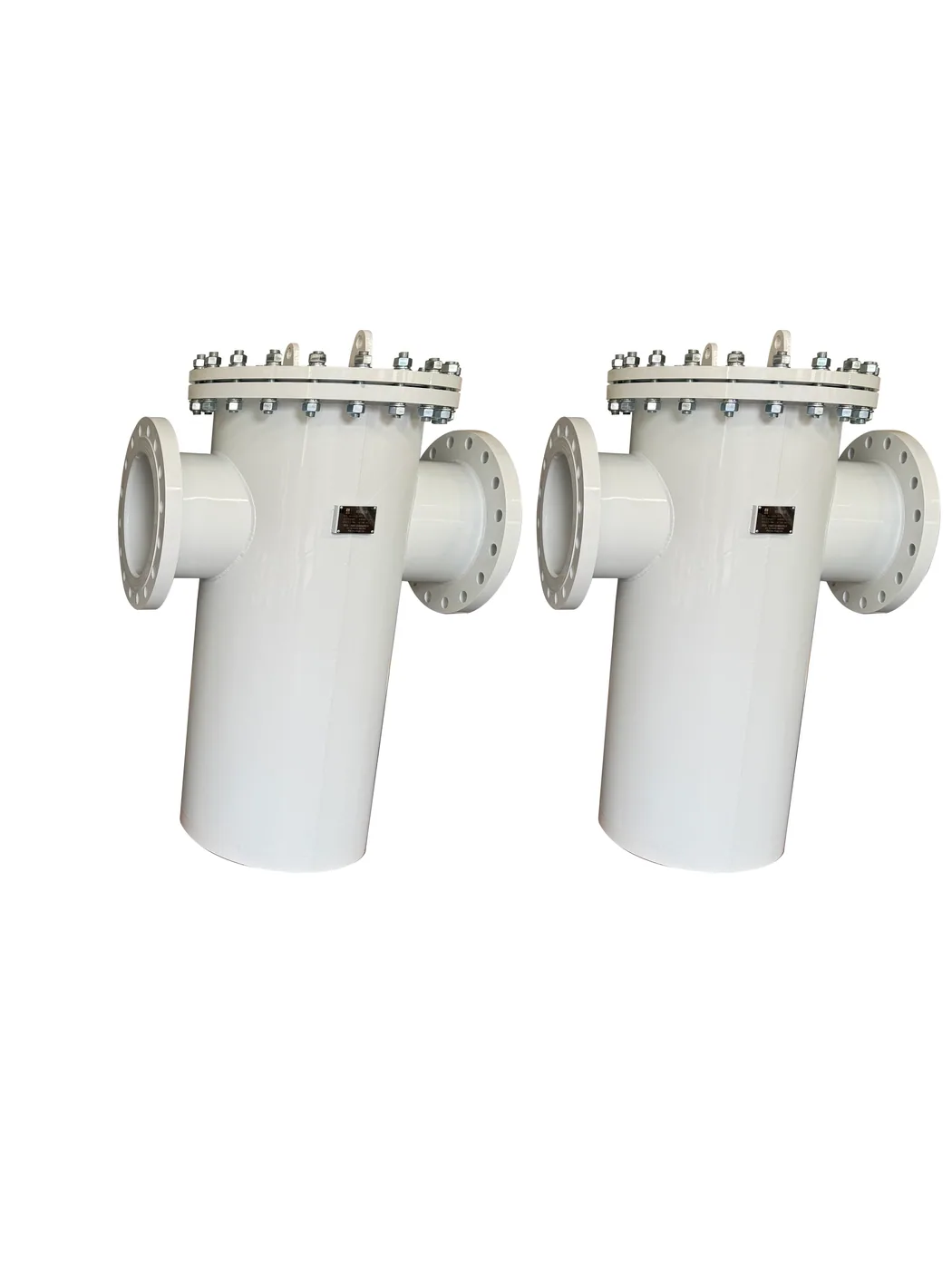 Source-library photograph for JINLV Pipeline / Basket Filter