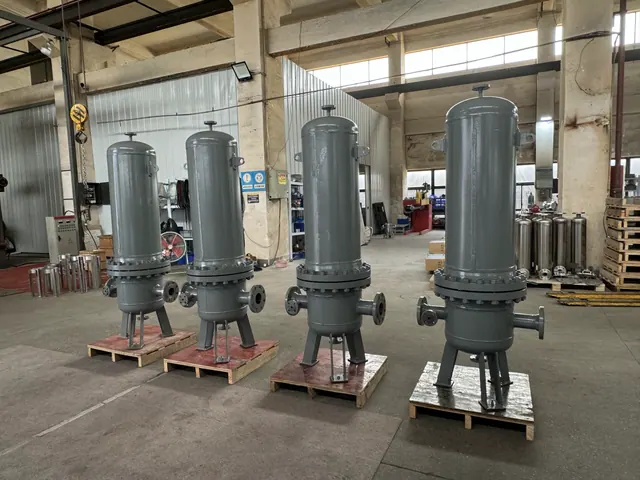JINLV PJA/D/E/F Sanitary Multi-Cartridge Filter source-library photo